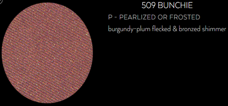 Spa One Eyeshadow Bunchie 509